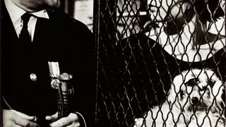 31. Нежная Ирма (1963)