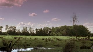 24. Братья по оружию (2001)