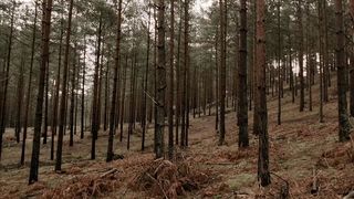 7. Братья по оружию (2001)