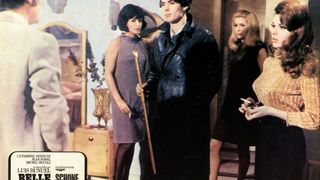 17. Дневная красавица (1967)