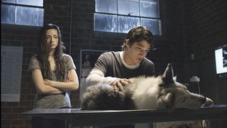 6. Оборотень (2011 — 2017)