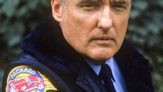 29. Настоящая любовь (1993)