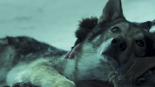 16. Альфа (2018)