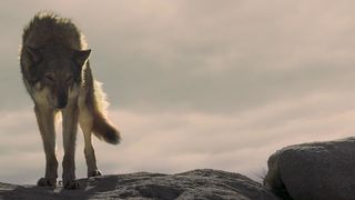 24. Альфа (2018)