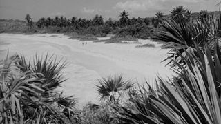 22. Повелитель мух (1963)