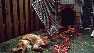 3. Оборотень (2000)