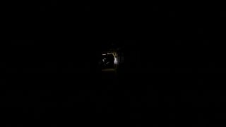 19. Искатели могил (2010)