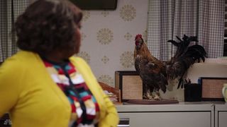 57. Методом проб и ошибок (2017 — 2018)