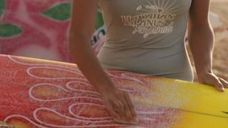 16. Сёрфер души (2011)