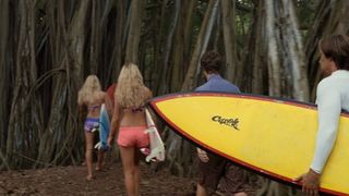 36. Сёрфер души (2011)