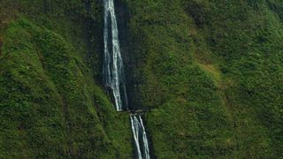 97. Сёрфер души (2011)