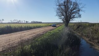 8. Настоящий детектив (2014)