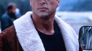 76. Скалолаз (1993)