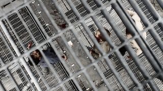 21. Нация Z (2014 — 2018)