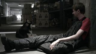 25. Нация Z (2014 — 2018)