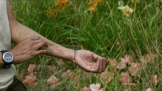 36. Аннигиляция (2017)