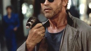 50. Детсадовский полицейский (1990)