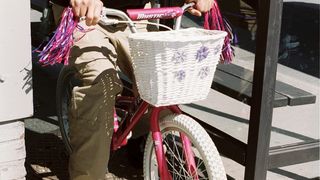 43. Лысый нянька: Спецзадание (2005)