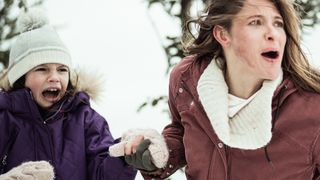 12. Дикий (2017)