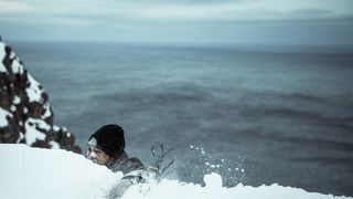 16. Дикий (2017)