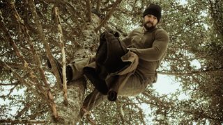 76. Дикий (2017)