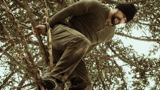 84. Дикий (2017)