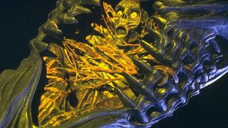 59. Смертельная битва (1995)