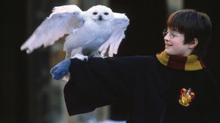 109. Гарри Поттер и философский камень (2001)