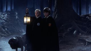 121. Гарри Поттер и философский камень (2001)