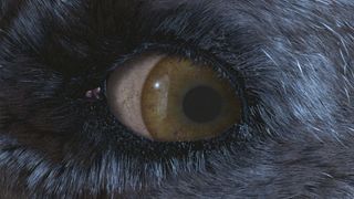 127. Гарри Поттер и философский камень (2001)