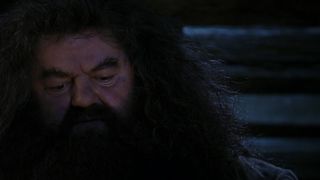 35. Гарри Поттер и философский камень (2001)