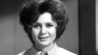 17. Парашюты на деревьях (1973)