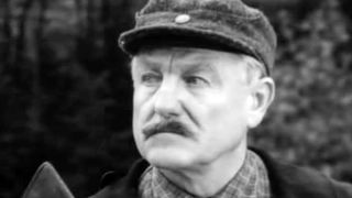 18. Парашюты на деревьях (1973)