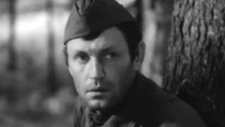 31. Парашюты на деревьях (1973)