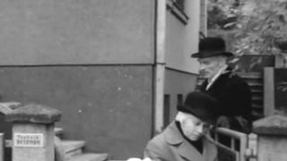 32. Парашюты на деревьях (1973)