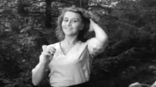 34. Парашюты на деревьях (1973)