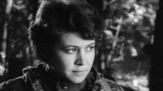 36. Парашюты на деревьях (1973)