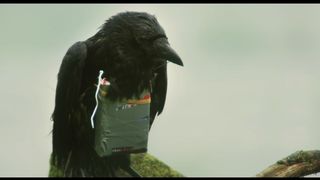 12. Четыре льва (2010)