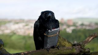 14. Четыре льва (2010)