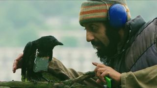 24. Четыре льва (2010)