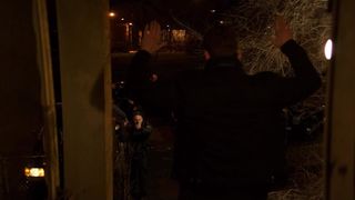 39. Акт мести (2017)