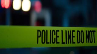 47. Акт мести (2017)