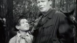 49. Отряд Трубачёва сражается (1957)