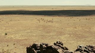 8. Старикам тут не место (2007)