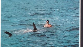 13. Острова в океане (1977)