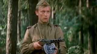 30. Ожидание полковника Шалыгина (1981)