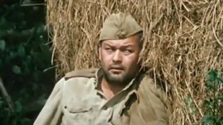 9. Ожидание полковника Шалыгина (1981)