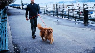 16. Вам письмо (1998)