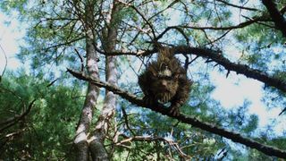 50. Мост в Терабитию (2006)