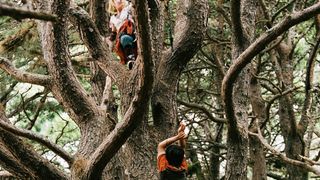 53. Мост в Терабитию (2006)